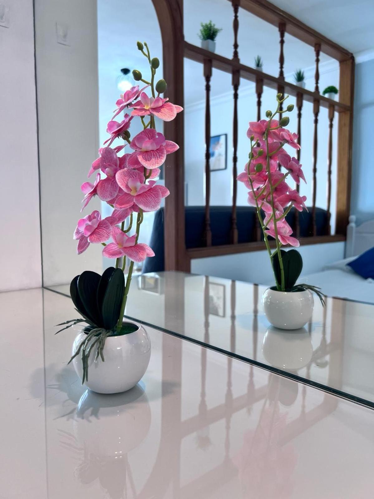 Apartamento-Estudio En La Playa Patalavaca Bagian luar foto